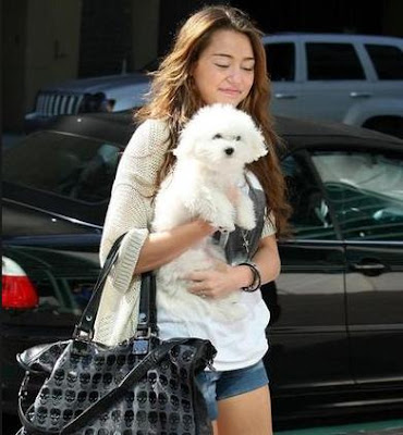 Blake Lively takes her dog