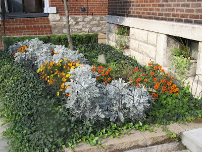 flowers 12
