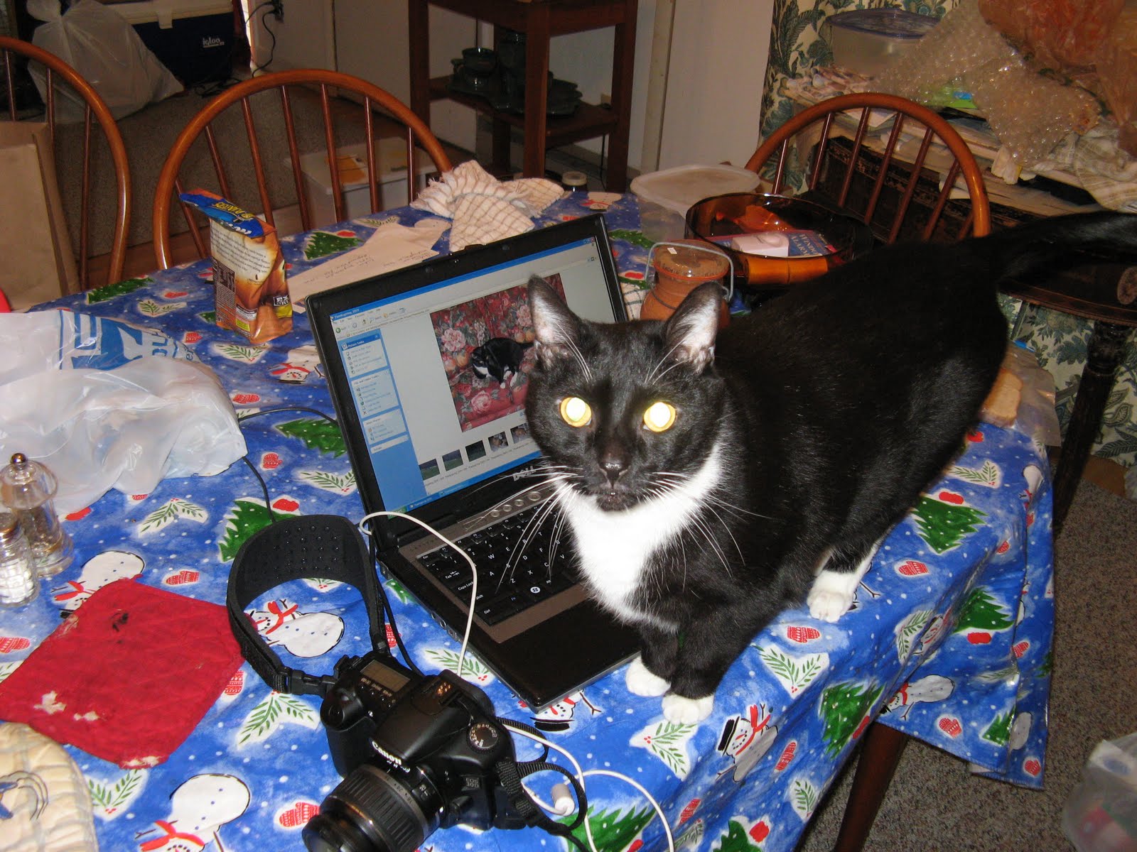 [Thanksgiving+2009+d+016.jpg]