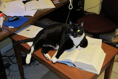 Computer Cat is updating your anti-virus software
