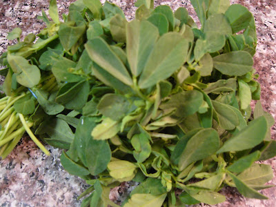 Methi Leaves Images