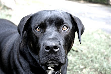 My boy!