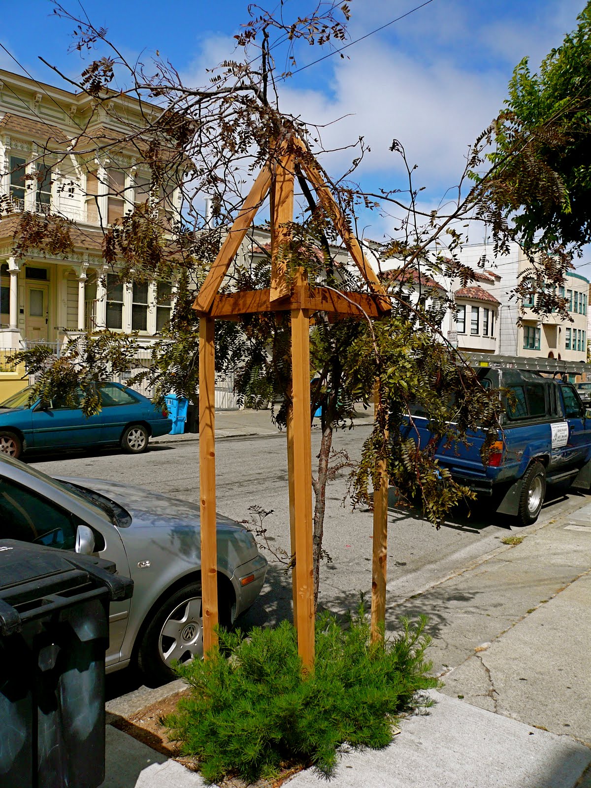 [treesagain2.JPG]