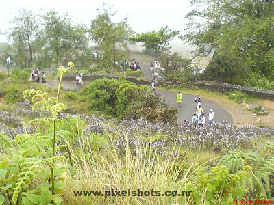 munnar-rajamala-walking-roads,mountain-roads-munnar,rajamala-photos-moonar,mountain hairpin road photograph in munnar rajamala covered in mist