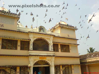 pigeons flying around the cochin jain temple in kerala india,birds-in-temples