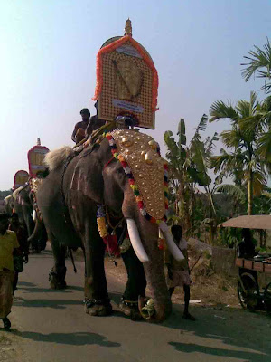 kerala-elephant-sreenivasan,elephants,kerala-elephant-photos,elephant-names,domestic elephant,temple-elephant