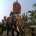 Kerala Elephants Photos,Trained Elephants of Kerala State with Elephant Names