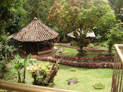 Vista desde la casa
