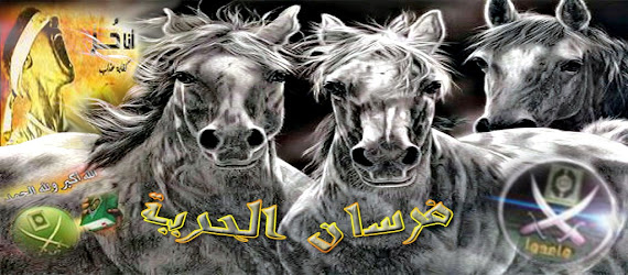 معاينة