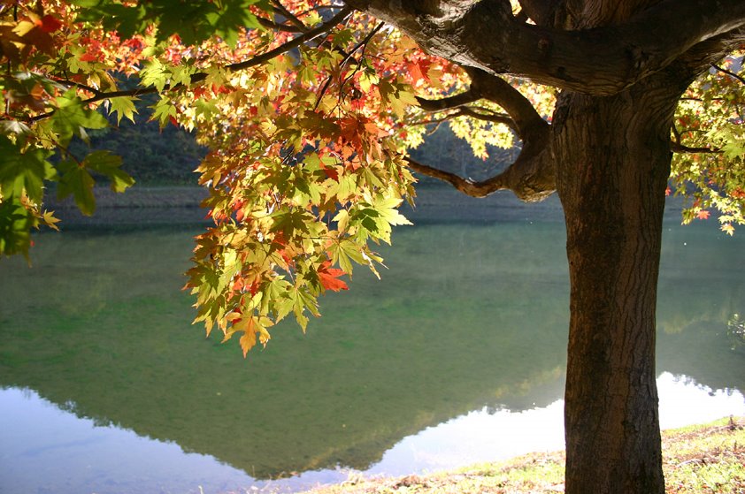 [8.11-5水源地-3*.jpg]