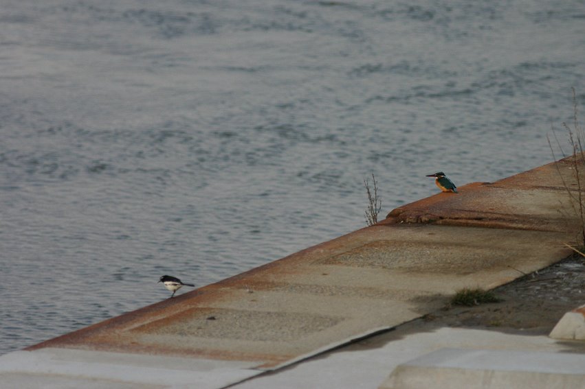 [9.2.23カワ-1*.jpg]