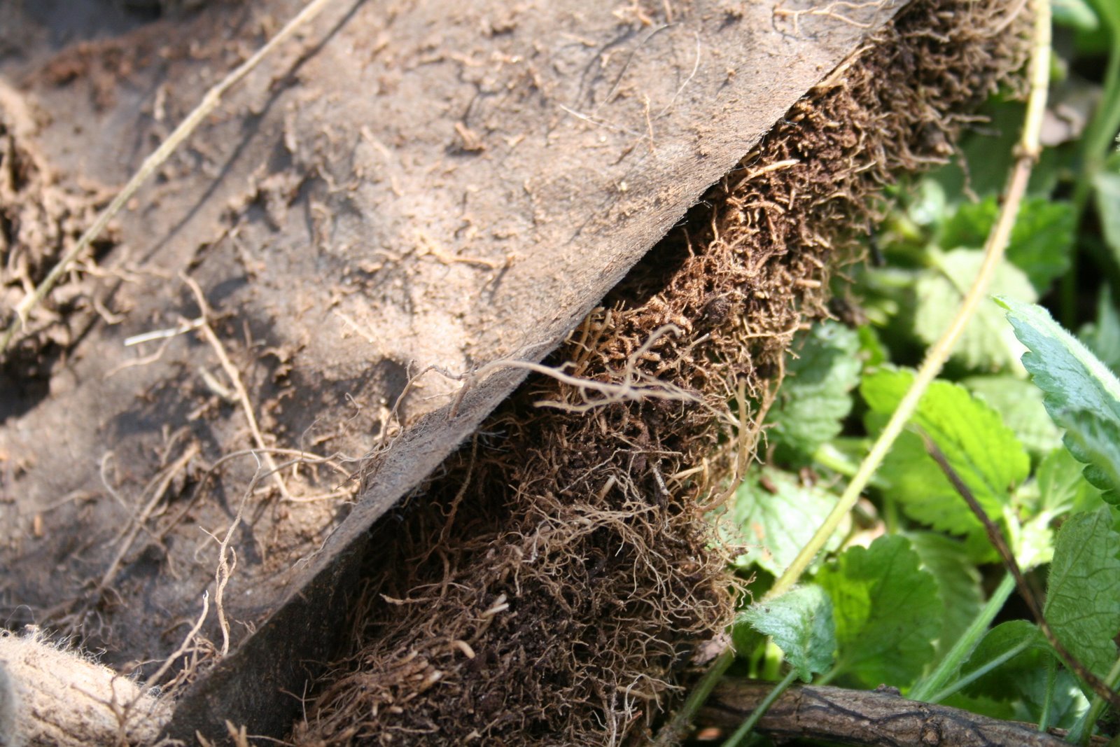 [Waste+Not+Want+Not.JPG]