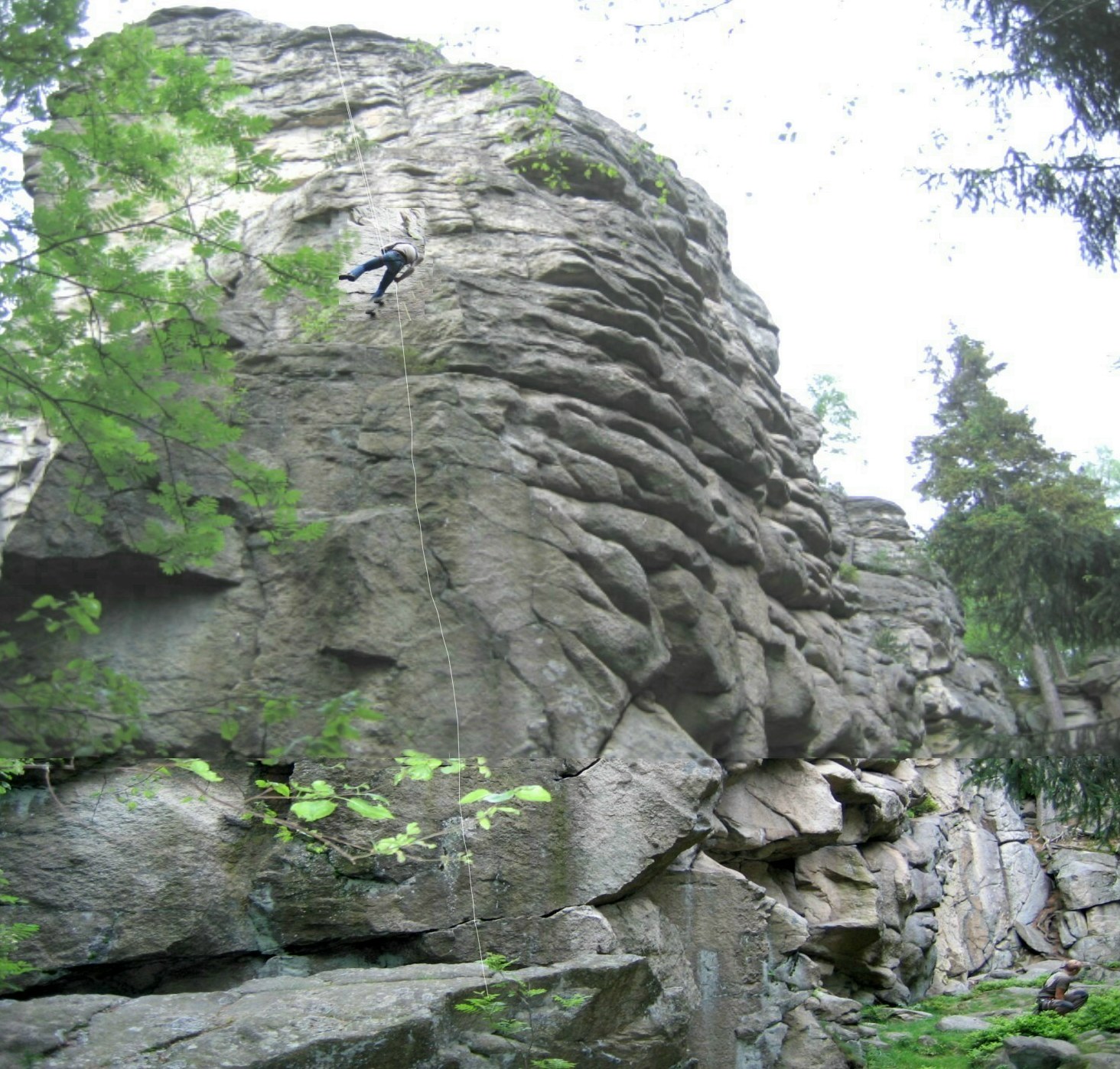 Steinwald single 8
