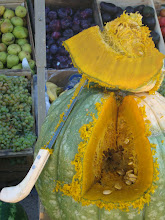 hermoso zapallo en la Feria Quirihue