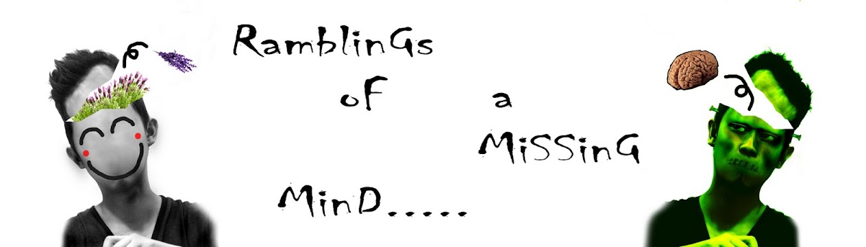 Ramblings of a Missing Mind