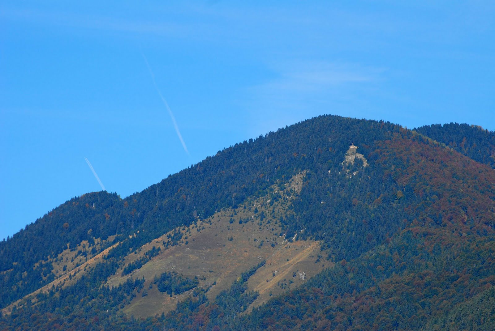 [DSC_1402.JPG]