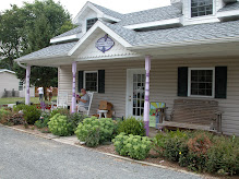 lavendar farm