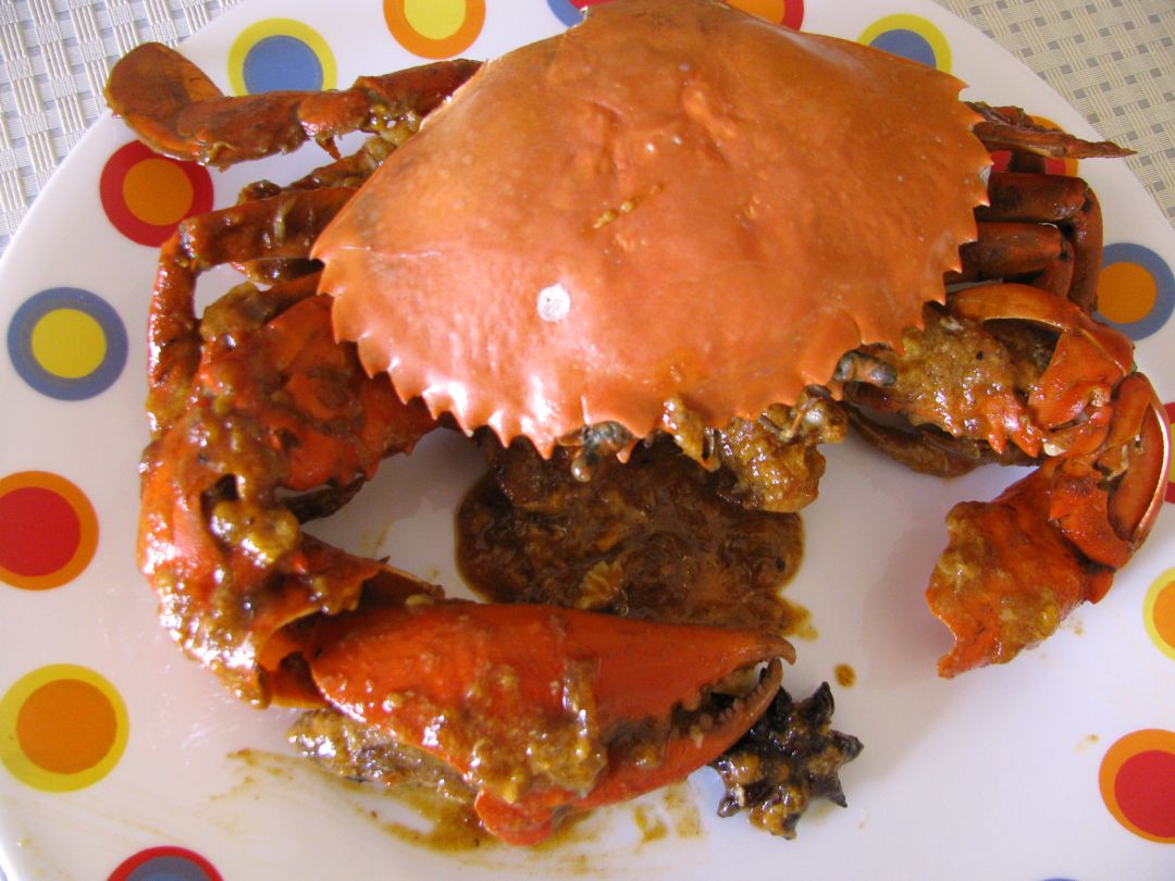indian crab