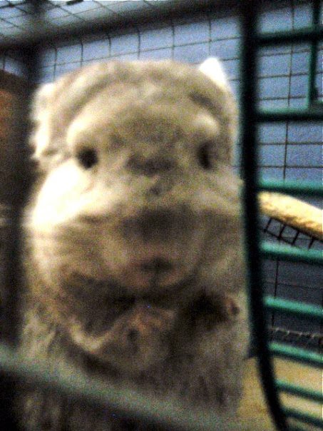 [n53900877_30675014_8495.jpg]