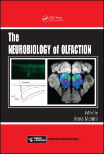 The Neurobiology of Olfaction