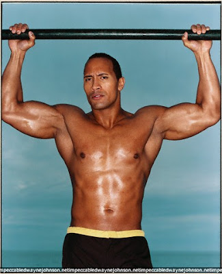 LadyThrills.com: Shirtless Celeb Of The Day - Dwayne Johnson