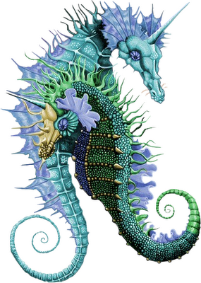[Seahorses[1]DG-754498.PNG]