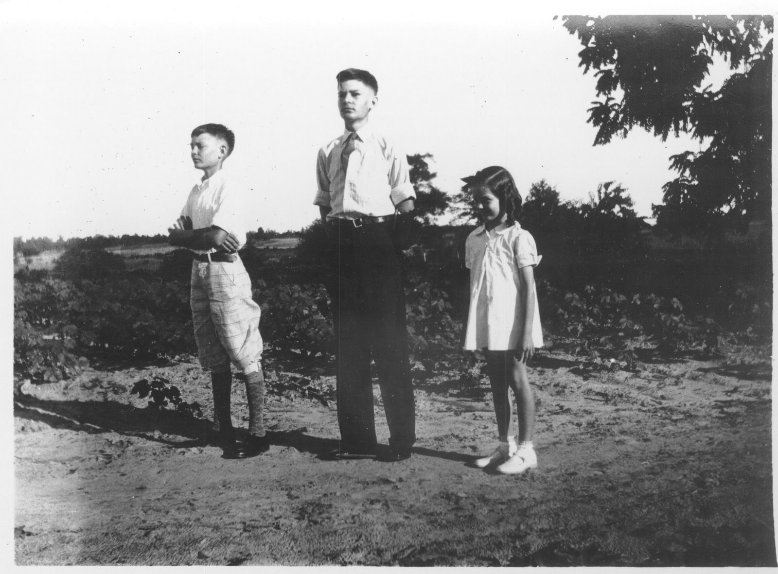 [CWing040.jpg]