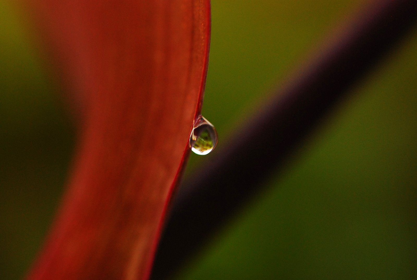 [DSC_0016.JPG]