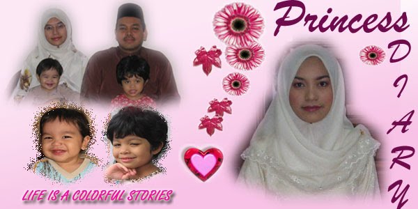Princess Diary