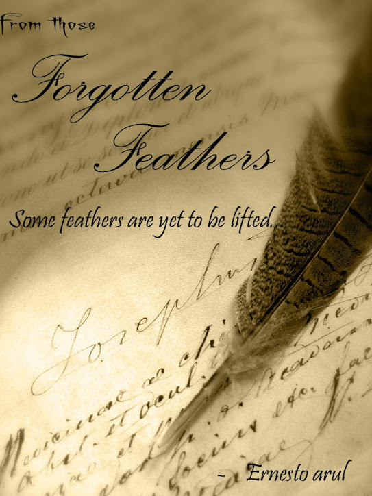 Forgotten feathers