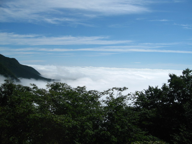 [IMG_0944.JPG]