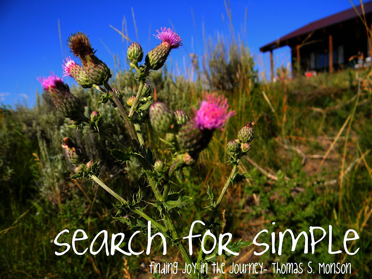 Search for Simple