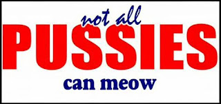 Not all pussies can meow Not all pussies can meow