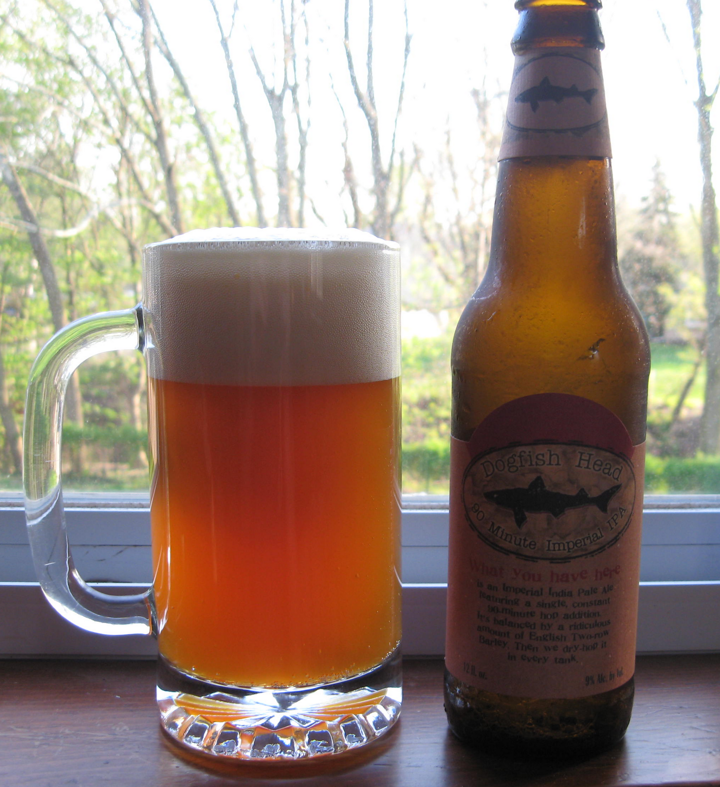 Dogfish+head+120+minute+ipa+review