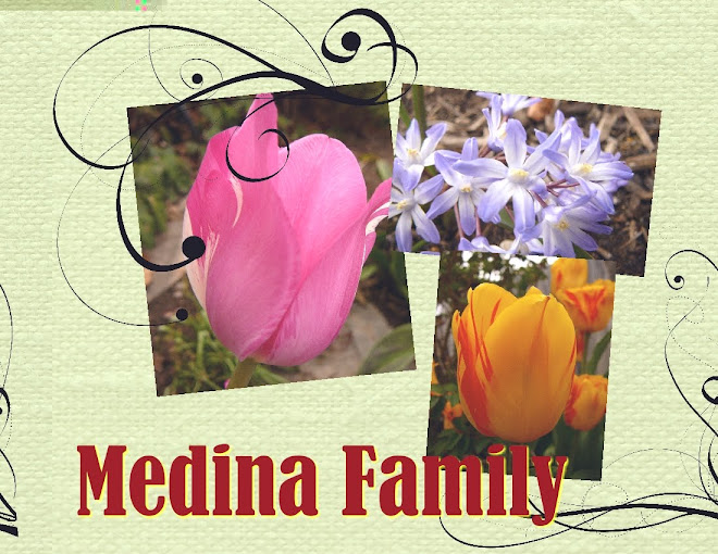 Medina Family
