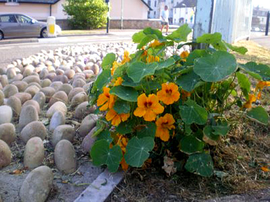 Hobby farm Online Magazine: Natural Stone Pebble Projects For Every Home