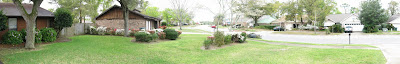 Panoramic photo of the front yard Panoramic photo of the front yard