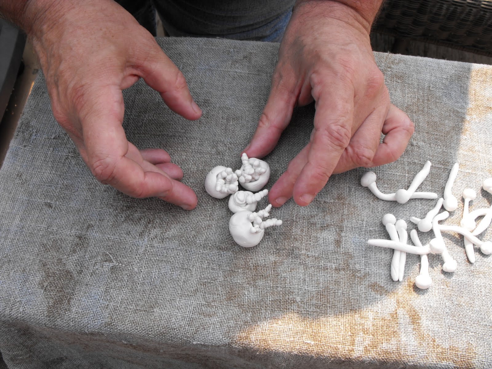 Material Witness Little White Things