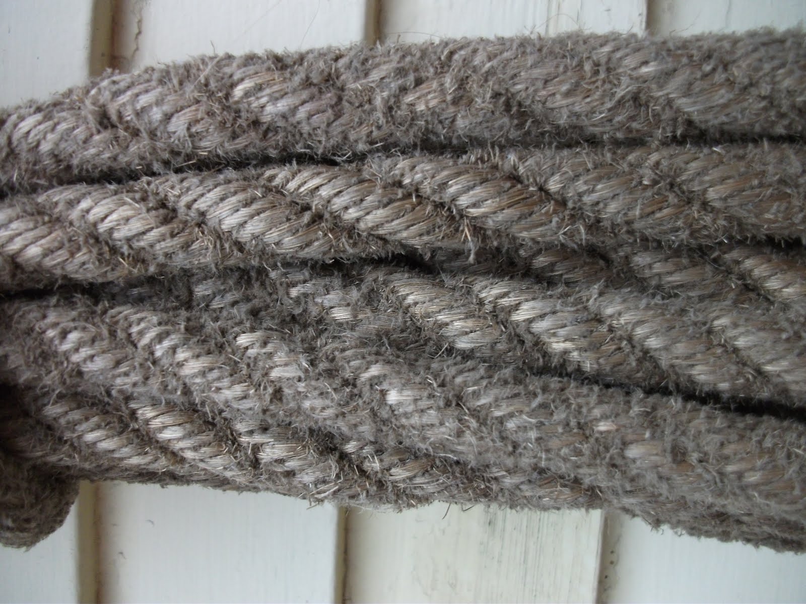 material witness Ropes