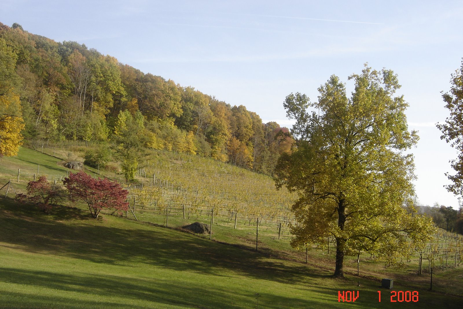 [DSC02820.JPG]