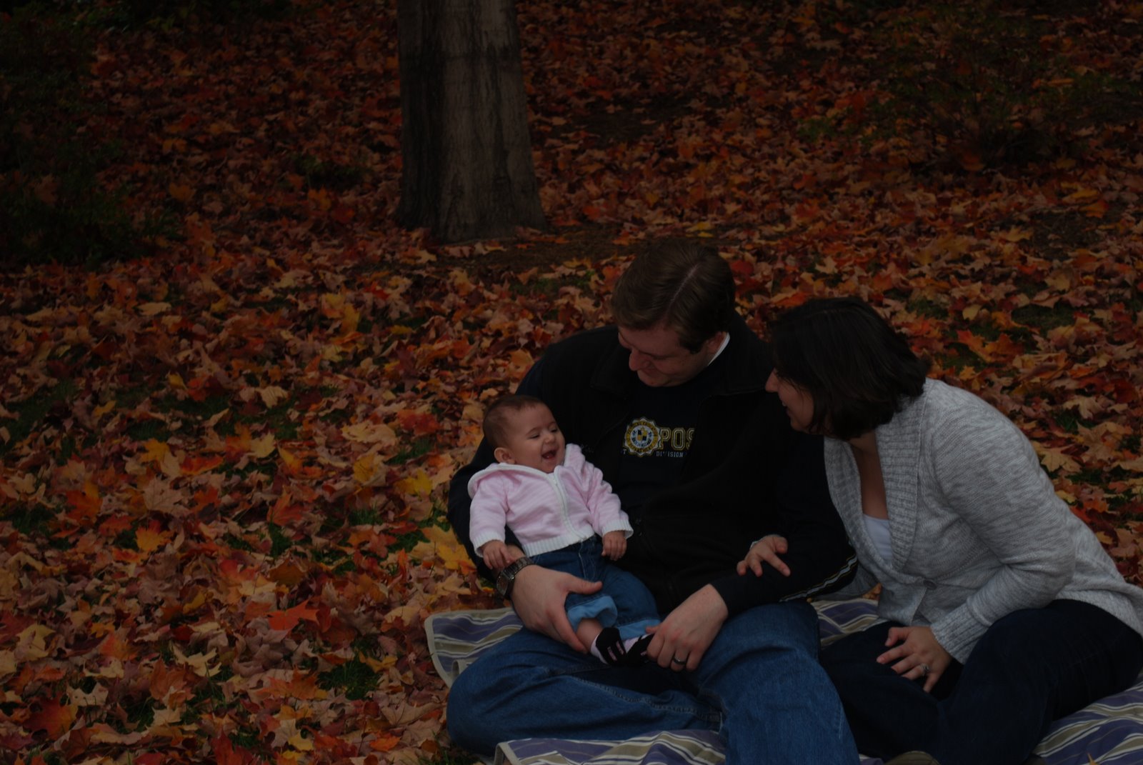 [DSC_0051.JPG]