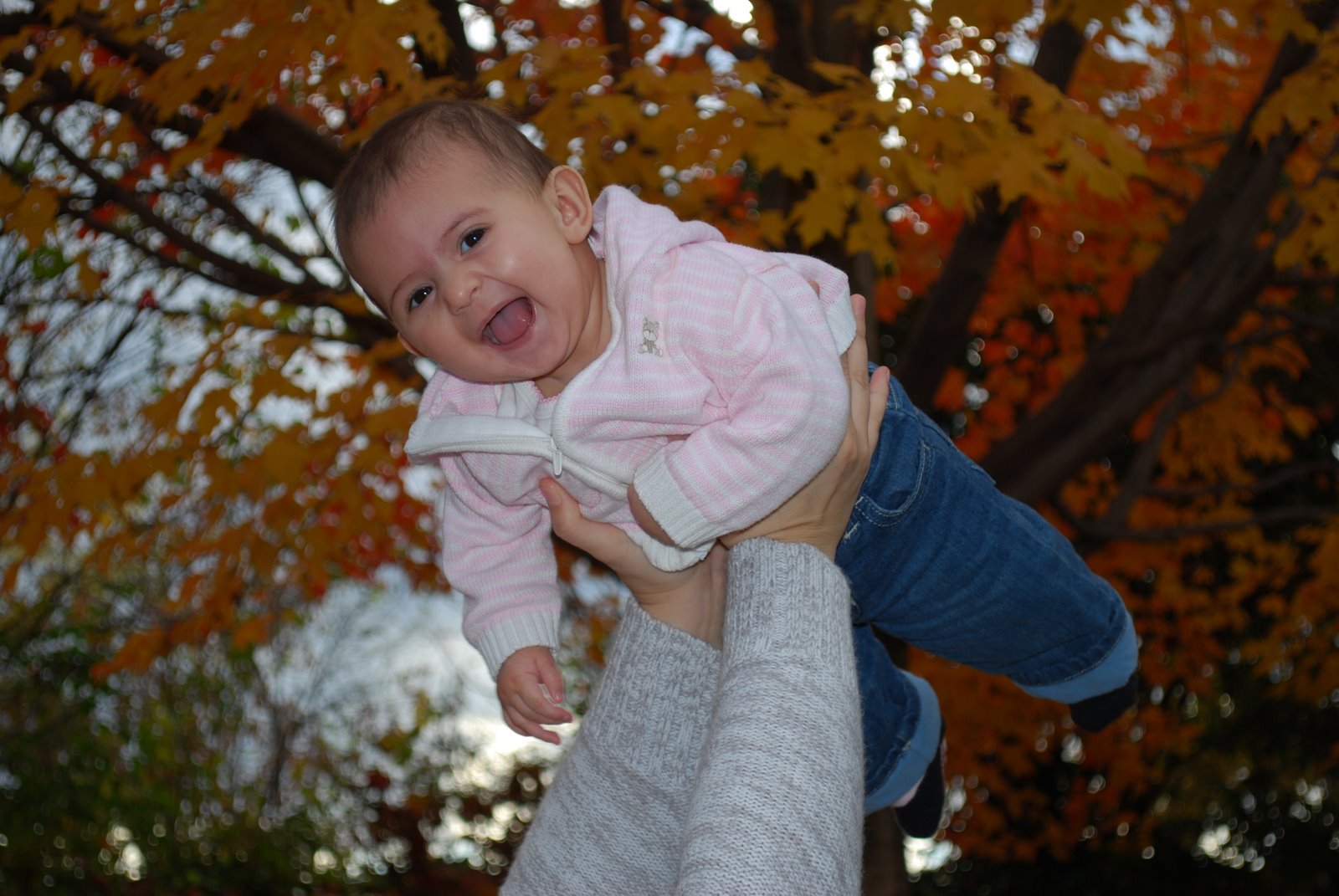 [DSC_0072.JPG]