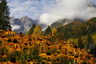 Hotel Sudtirol Sterne Kalterer See Hotel Sudtirol Sterne Kalterer See