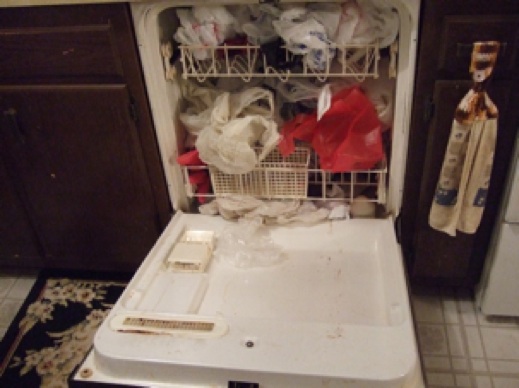[the+dishwasher+open-1.jpg]