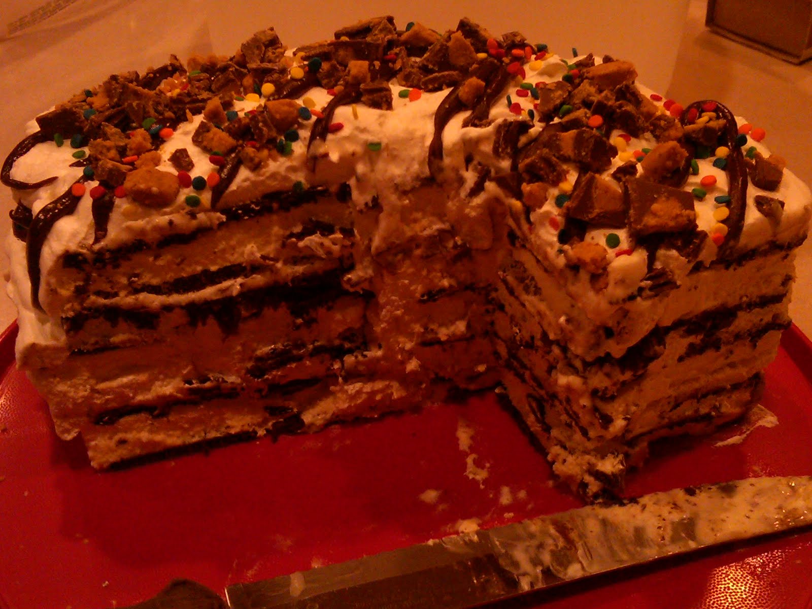 Schwanns Ice Cream Cake Schwanns Ice Cream Cake