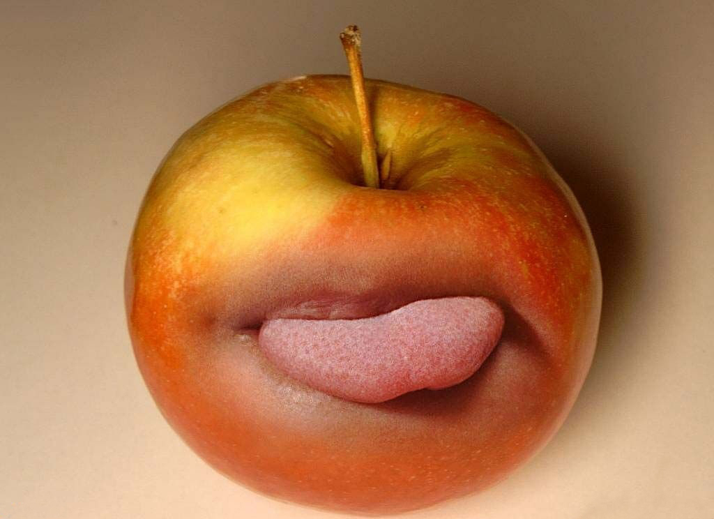 funny wallpapers for desktop funny wallpapers for desktop 3d. funny wallpapers for desktop