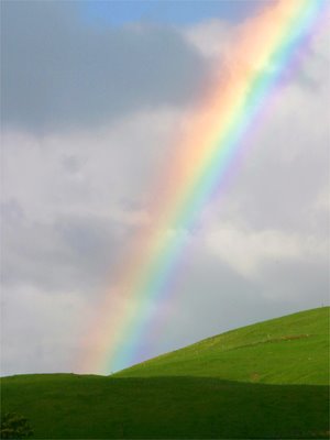 [rainbow.jpg]