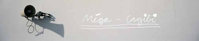 mega-cagibi