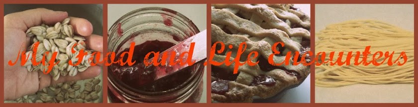 My Food and Life Encounters