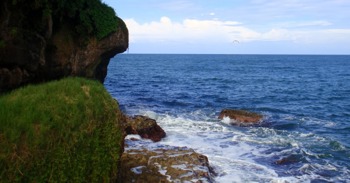NGOBE Surf and Tours Bird Island Isla Pajaro